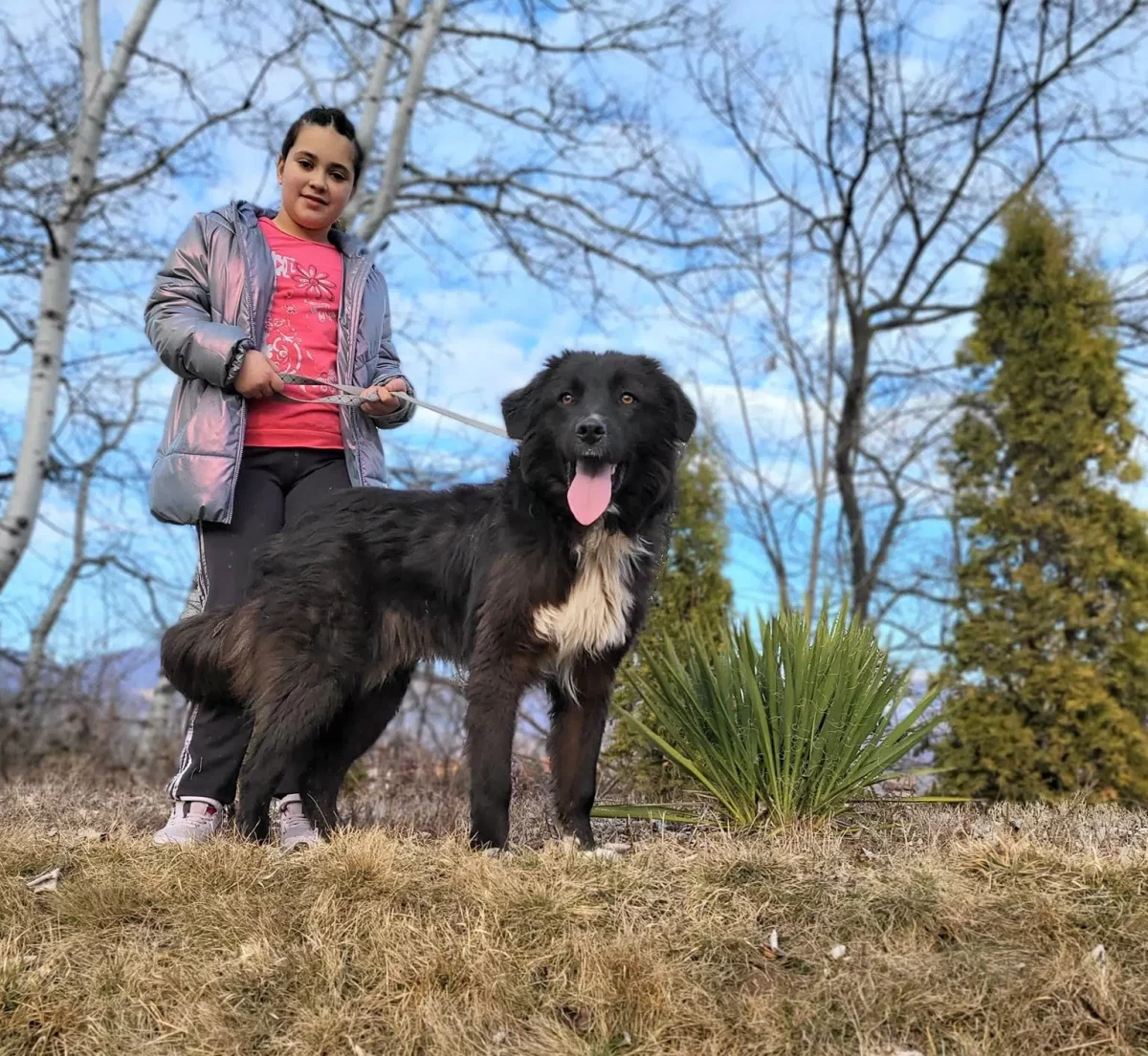 Familienhund „Meda“, geb. 2021, sucht Zuhause