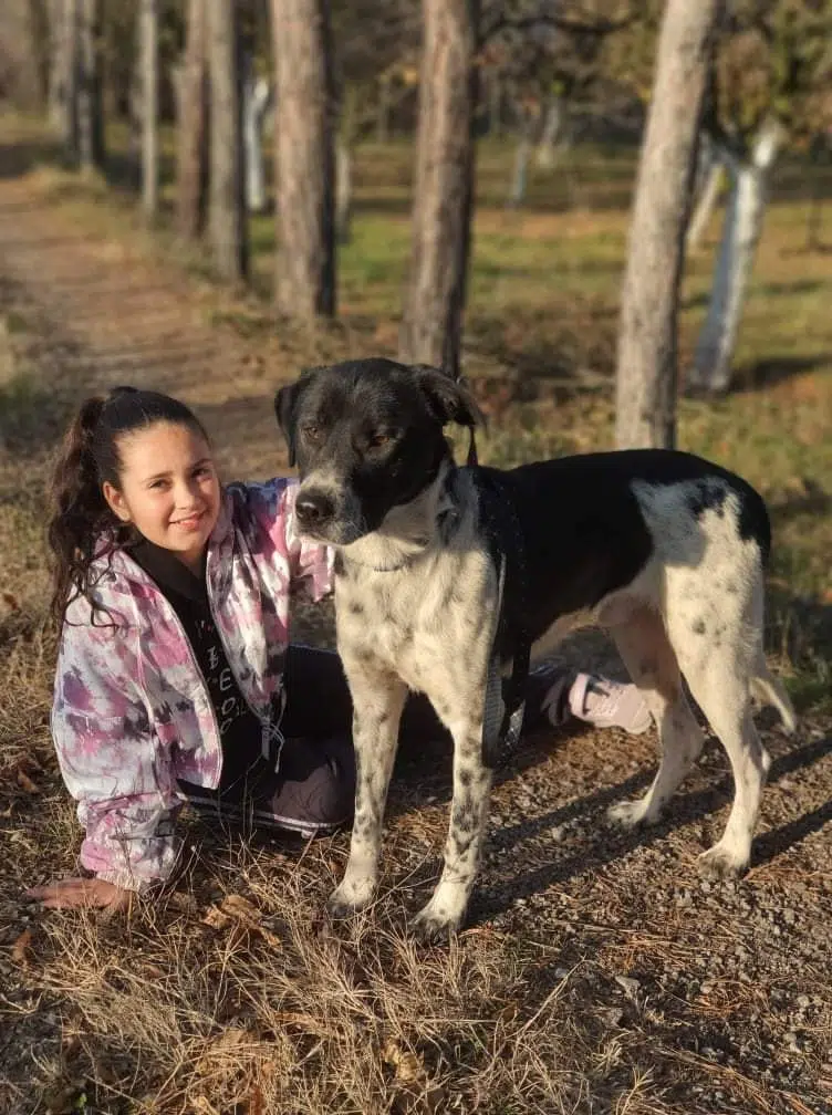 Kinderlieber und verträglicher Rüde „Blacky“, geb. ca. 2019, wartet seit 2 Jahren vergeblich auf ein Zuhause